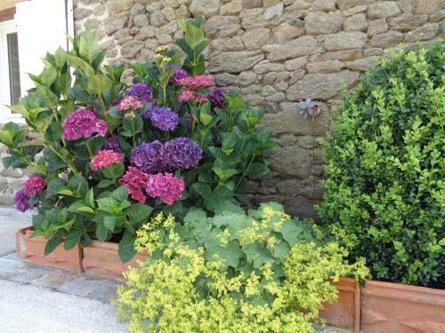 Bed & Breakfast Ker Adsav O'naturel