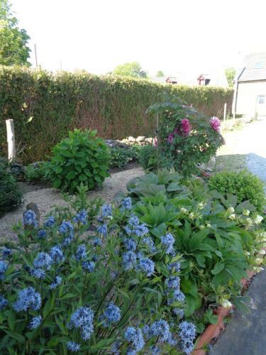 Bed & Breakfast Ker Adsav O'naturel