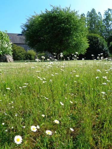 Bed & Breakfast Ker Adsav O'naturel