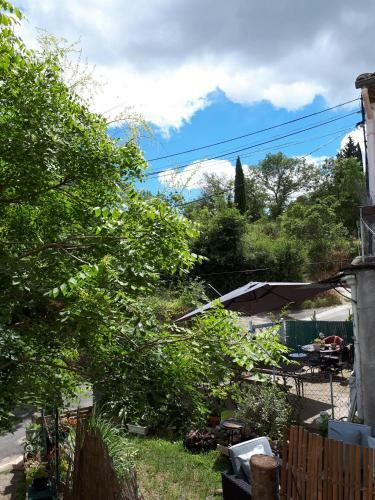 Le Clos Des Vins D'anges