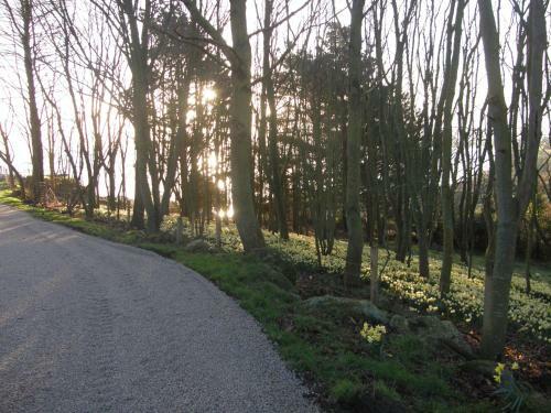 Apartamento Location Tromeal Lasalle