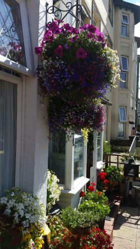 Bed & Breakfast Sunnyside Hotel