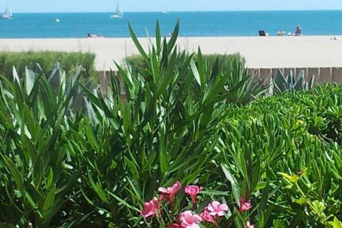 Cros Mer Et Piscine