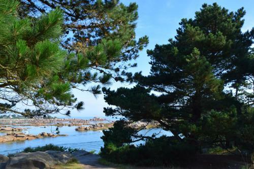 Hostal Manoir Des Petites Bretonnes