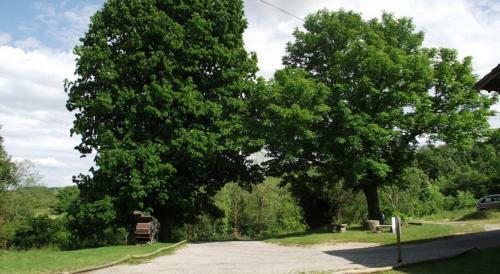 Une Pause Sur La Colline