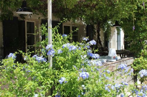 B&B Mas De Caustes