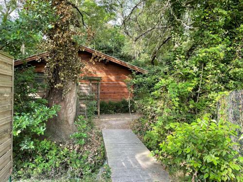Chalet � Saint R�my de Pce