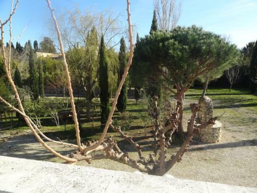Apartamento Locations Des Alpilles