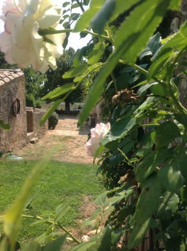 Bed & Breakfast Le Vieux Portail