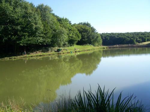 Camping Les Petites Minaudi�res