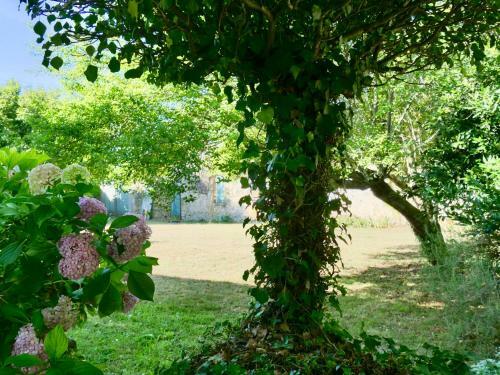 Douceur Girondine