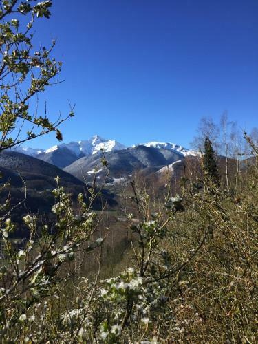 Bed & Breakfast Saint Sever Des Pyrenees