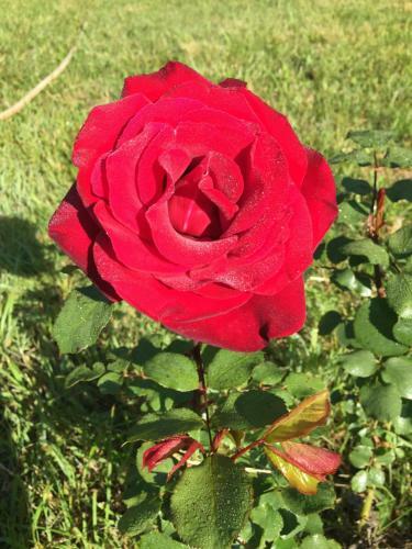 Bed & Breakfast Saint Sever Des Pyrenees