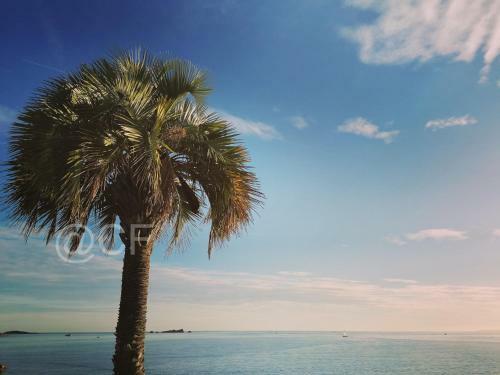Apartamento Residence Golfs de Valescure 2