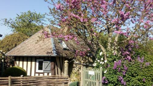 Hostal Au P'tit Jardin