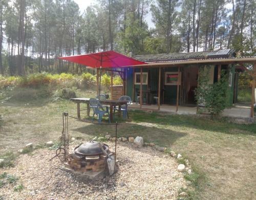 Cuckoo Lake Forest Cabin
