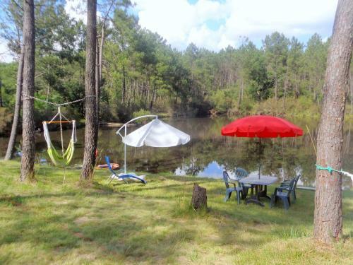 Cuckoo Lake Forest Cabin
