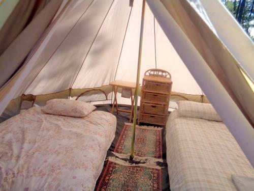 Cuckoo Lake Forest Cabin