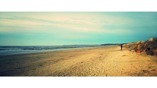 L'odyss�e P�niche