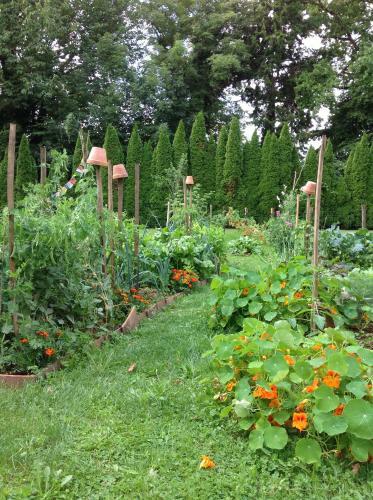 Bed & Breakfast Le Tulipier de La Serre