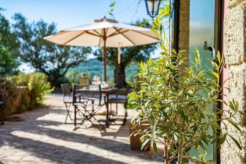 Gites Des Nymph�as Provence