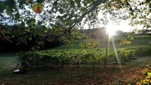 Apartamento Ch�teau R�galdo-saint Blancard