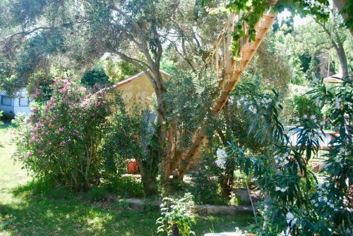 Les Volets Bleus Provence