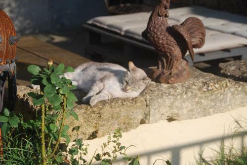 Hostal Les Volets Bleus Provence