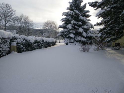 Chalet De Campagne