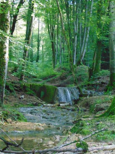 Chalet De Campagne