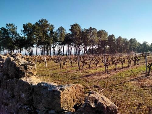 Maison de Hameau Ard�chois Avec Vue Imprenable