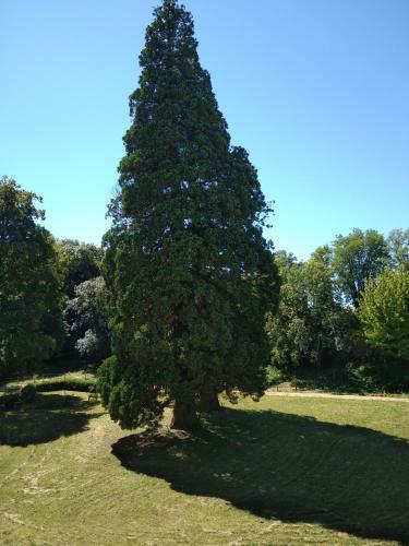 Hostal Ch�teau de St Alyre