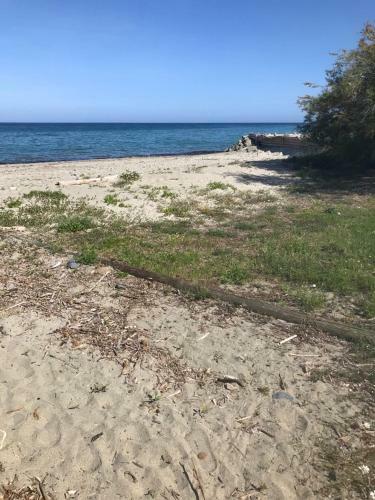 Apartamento Corsica Studio Face � La Mer Moriani Plage