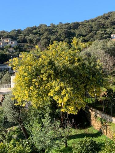Apartamento Vita Nova