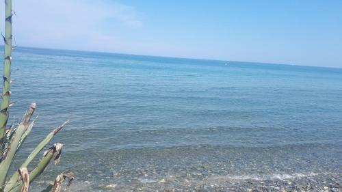 Apartamento Magnifique Studio Bord de Mer