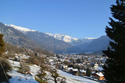 Apartamentos Chalet Des Fleurs