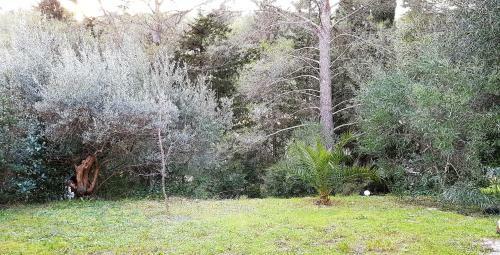 Bed & Breakfast � Zen Suite