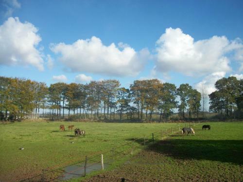 Le Manoir de Briquedalles