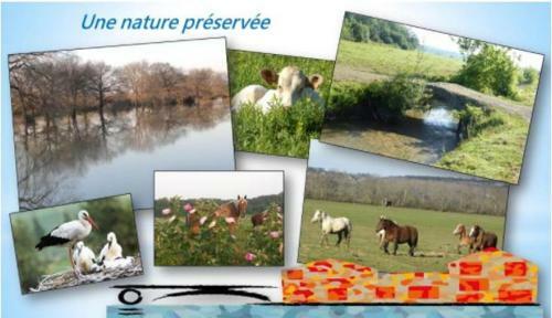 Hostal Maison de Vacances, Golf'camp Des Landes