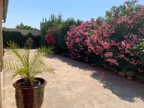 Appartement Salvaterra