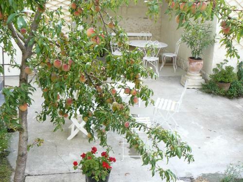 Bed & Breakfast La Maison De Saumur