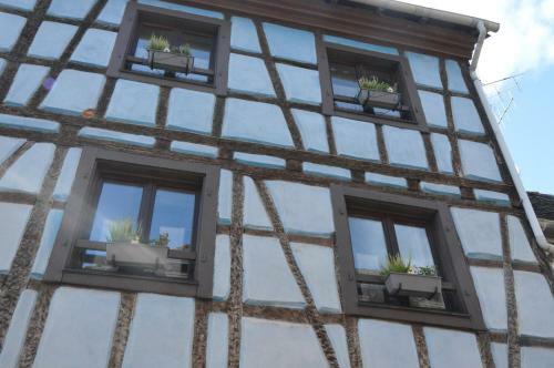 Apartamentos Maison Bleue