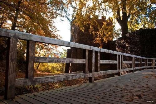 Apartamento Maison Rurale En Bordure de For�t