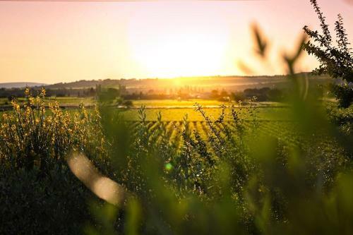 Bed & Breakfast Maison Sadina