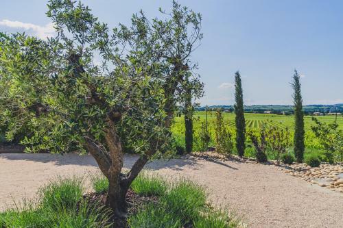 Bed & Breakfast Maison Sadina