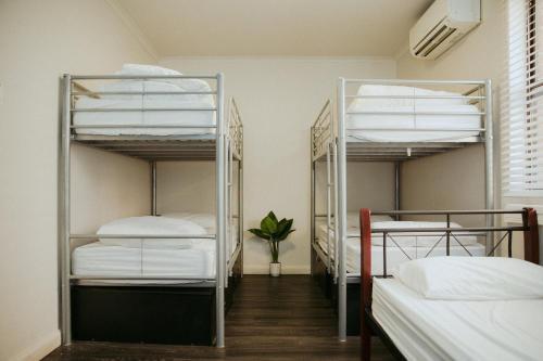Albergue Alfred Park Accommodation