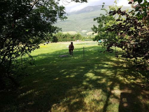 Bed & Breakfast Le Cheval Blanc