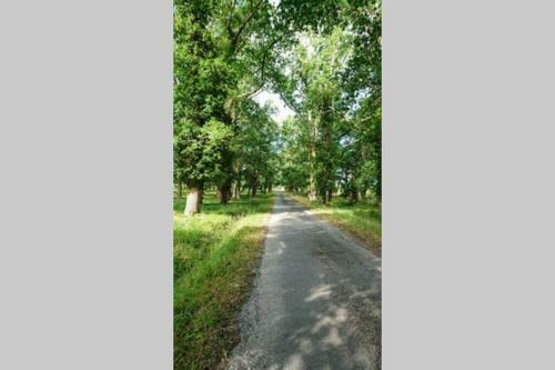 Relais De La Lati�re