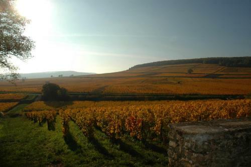 Bed & Breakfast Les Chambres Buissonnieres