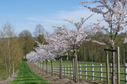 Bed & Breakfast Le Domaine de Prin